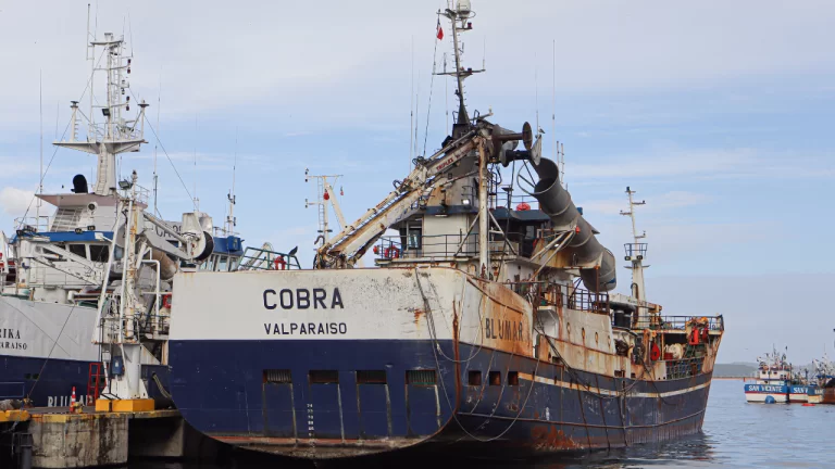 Las razones del Tribunal para descartar responsabilidad penal de Blumar en Caso Bruma